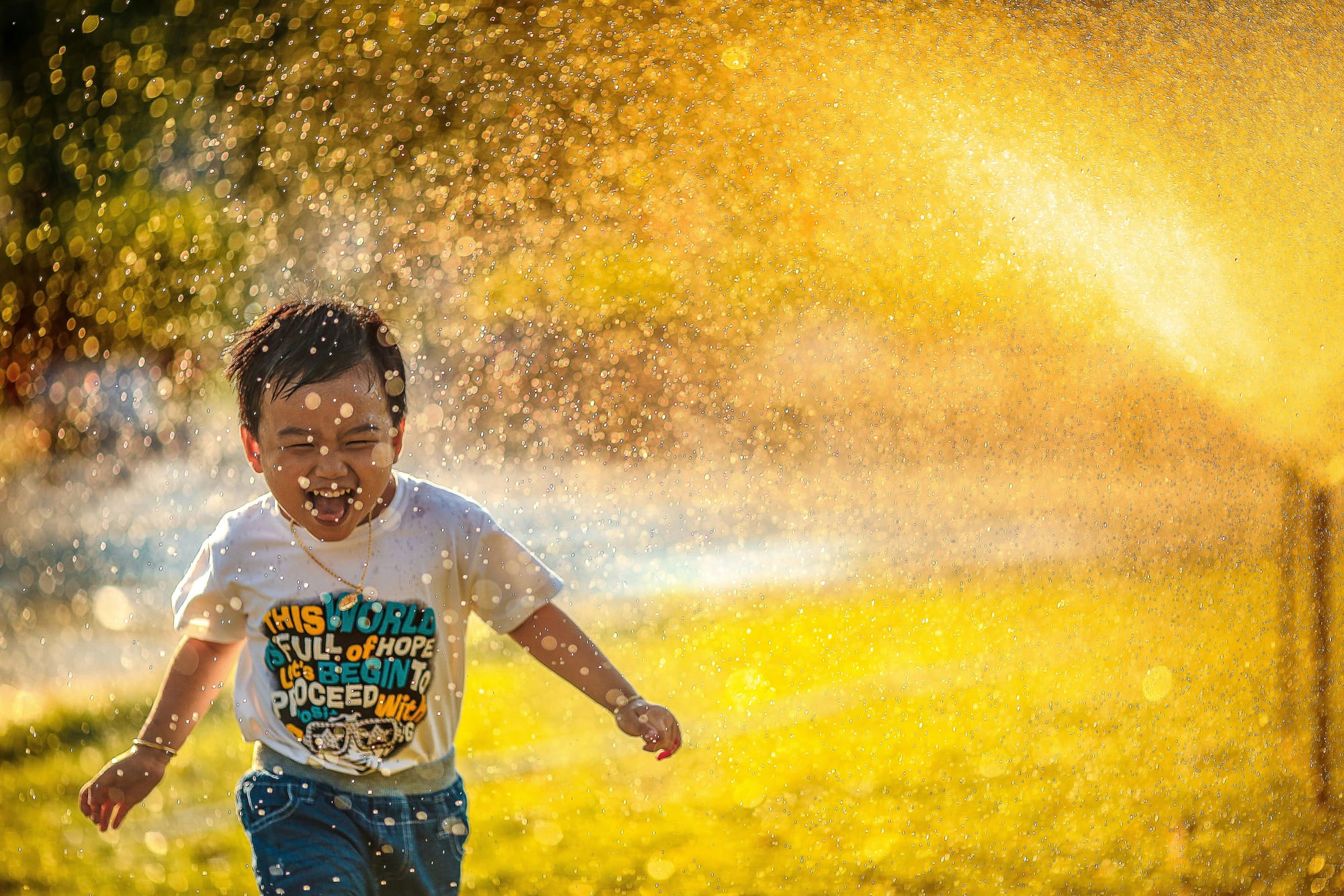 A delighted young boy runs though a sprinkler in a golden backlight.