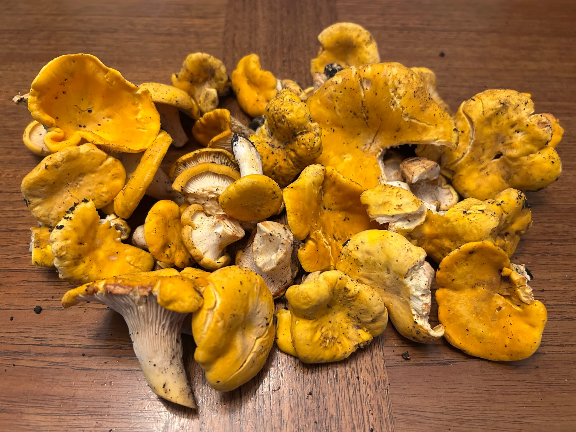 Foraging: For the joy of it