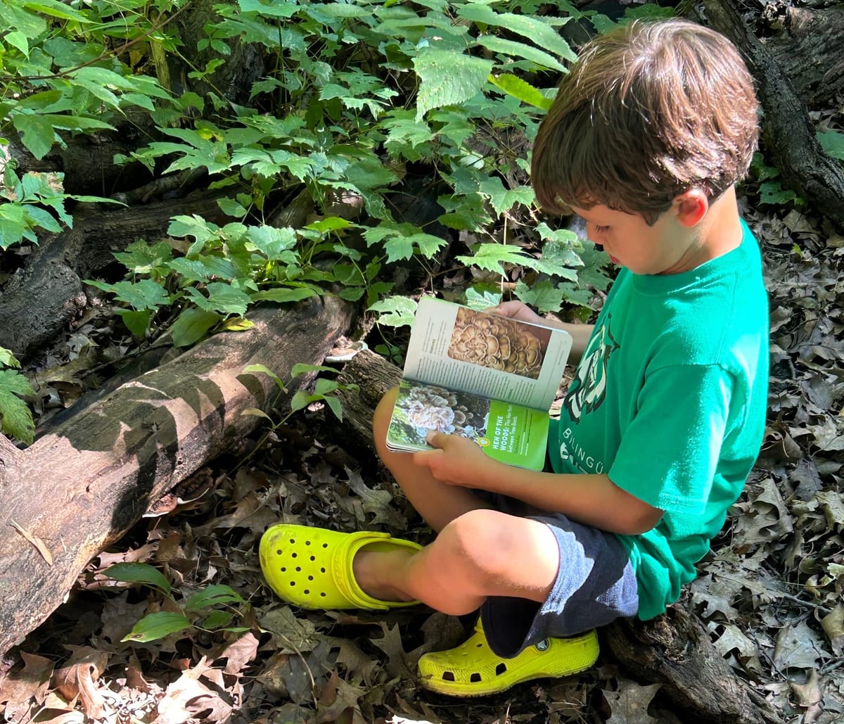 Foraging: For the joy of it
