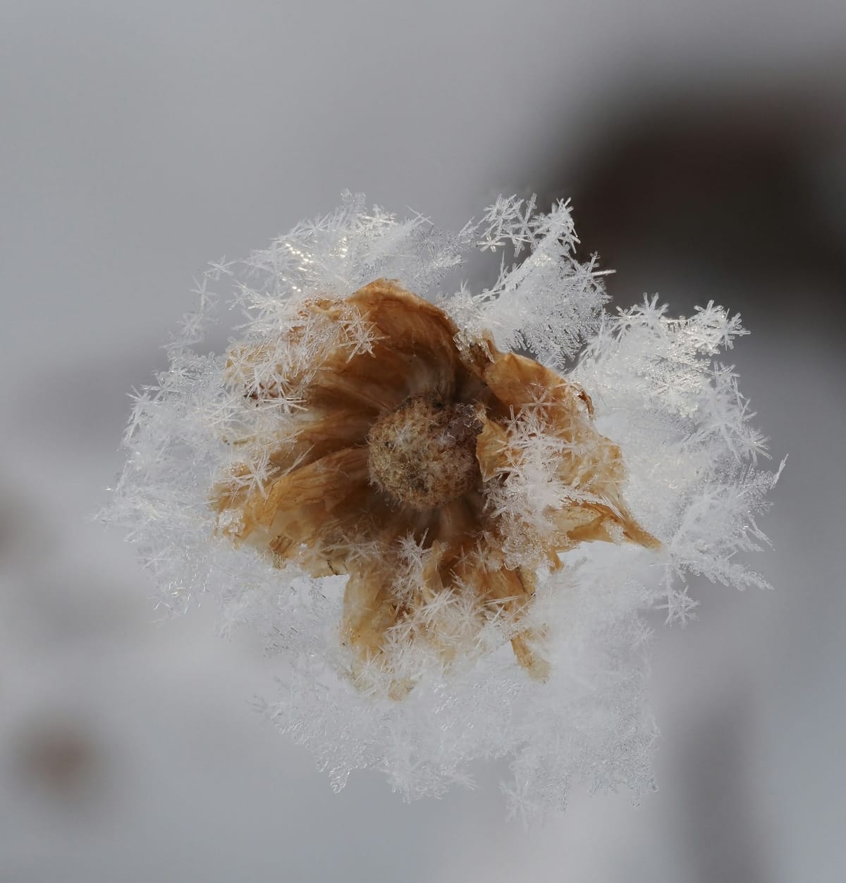 Confronting fragility, and embracing it